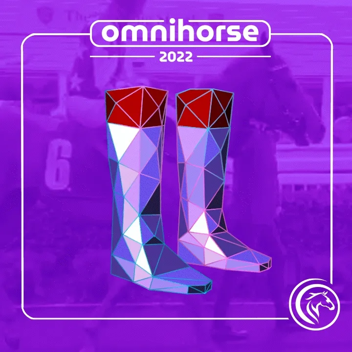 Omnihorse Boots #496