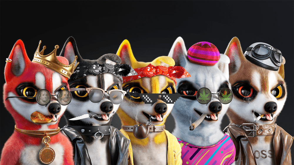Executive Husky