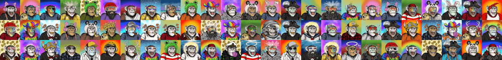 Primate Social Society