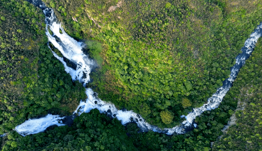 MintFace Roads or Rivers