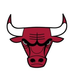 Chicago Bulls - THE AUROCHS