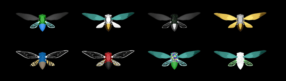 Cicada Early Adopters
