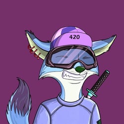 Spinal Foxes iQ