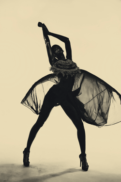 The Adorned Series by Asiko