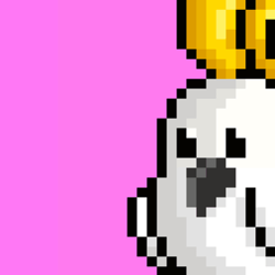 Crypto Cockatoos