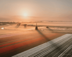 Nick de Jonge Airdr0ps (v2.0)