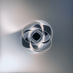 Spirochete