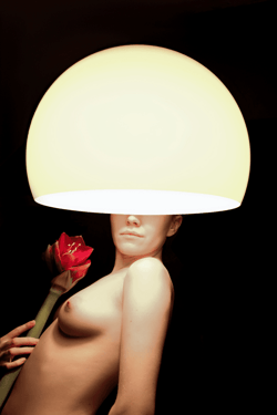 Night Flower V3