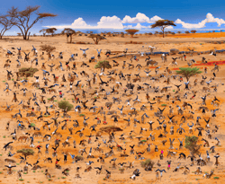 Humans And Animals V2
