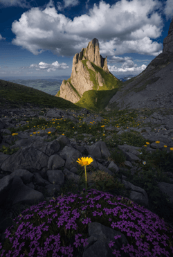 Marco Grassi Editions