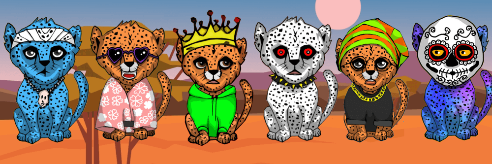 Cheetah Cub Coalition