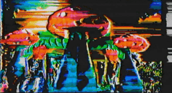 Mycelium Fidelity