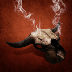 The Spirit Animals Collection
