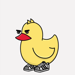 DUCK PATO
