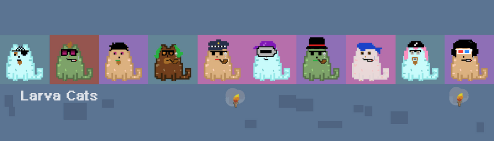 Larva Cats