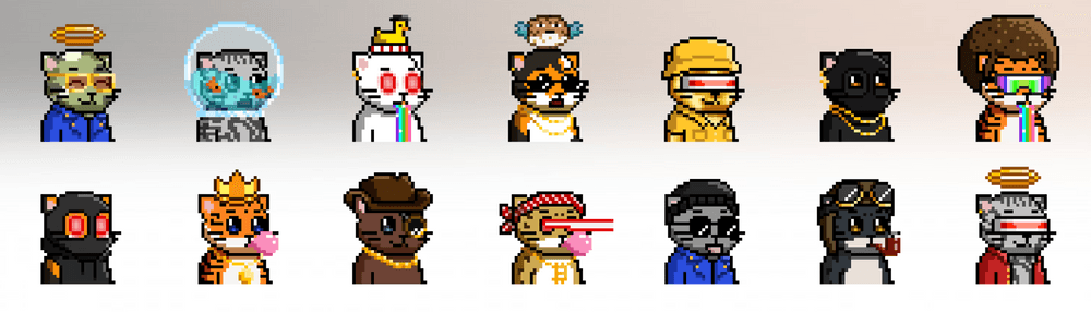 Drip Cats