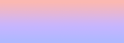 wp test
