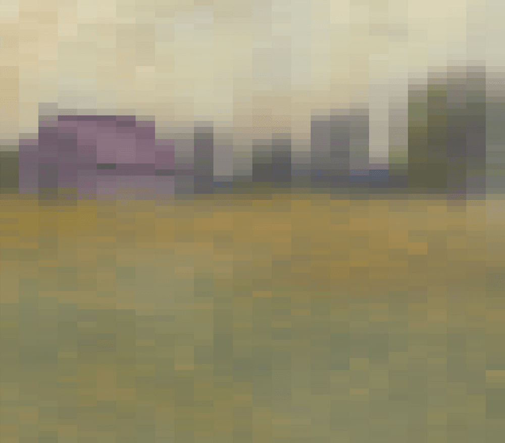 meadow.xls