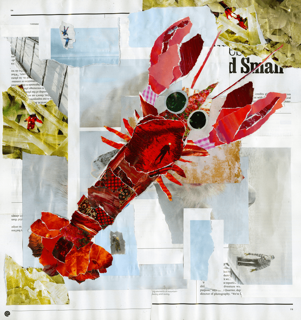 Paper Scraps