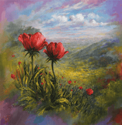 Colours of silence