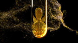 The Gilded Guardian - The Babies