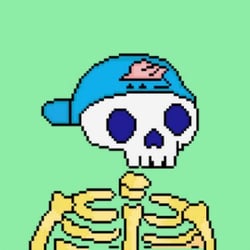 Skeleton Official