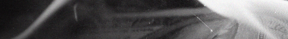 210asdf02qwe1rweqr