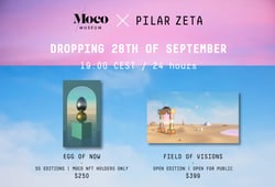 Mocoverse x Pilar Zeta