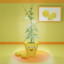 420 Plantyz
