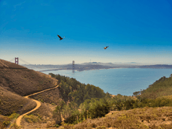 Behind the Bay