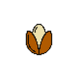 A Seed Grows