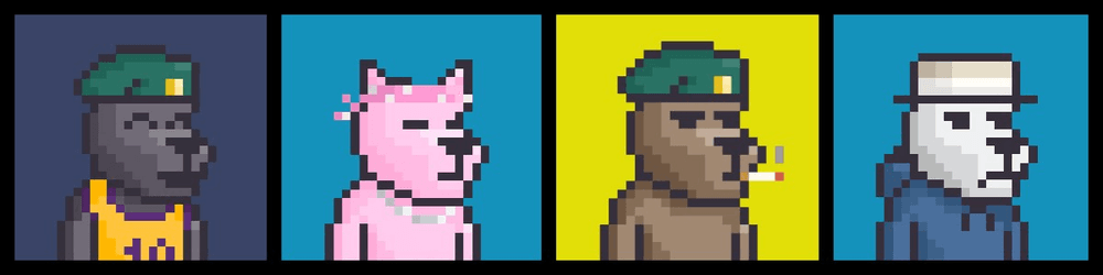 PeDogs