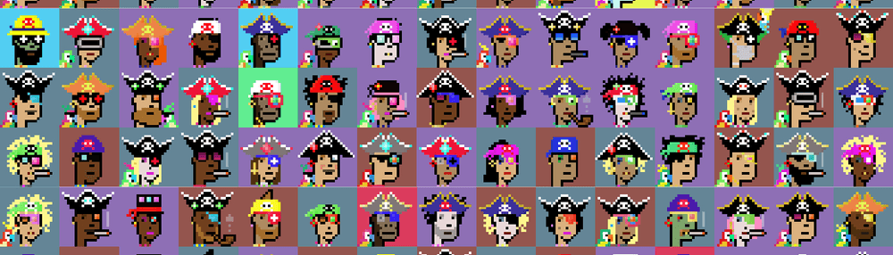 THE PIRACY PUNKS PROJECT