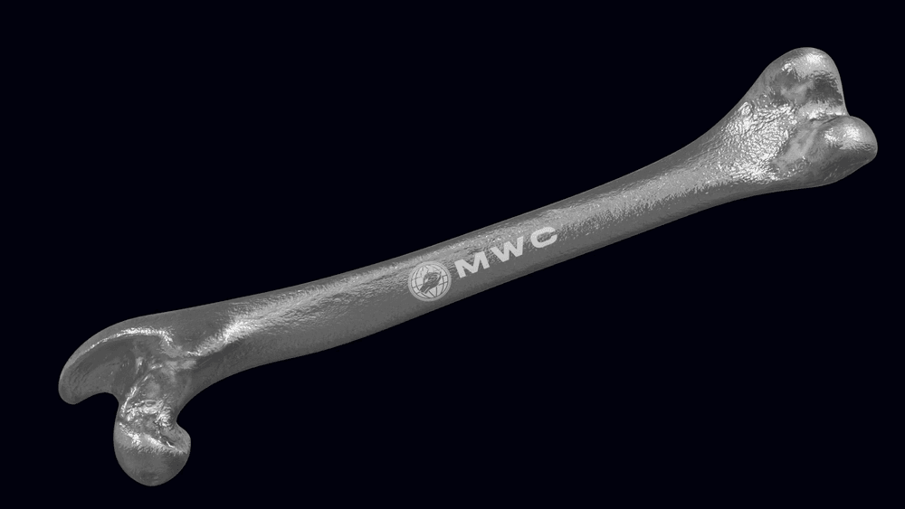 MWC Bone #140