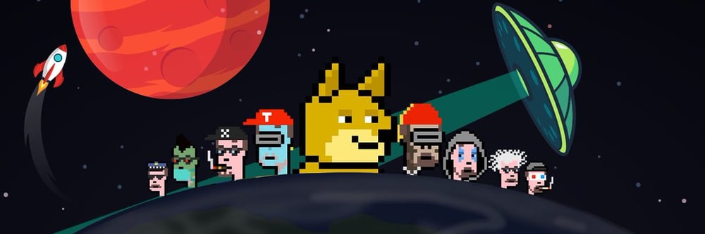 Elon Punks NFT
