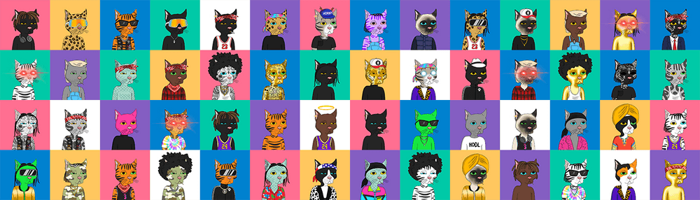 GutterCatGang UNIP