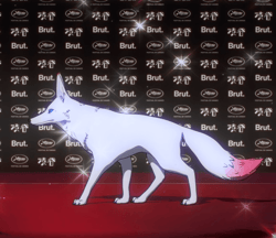 Cannes Film Festival Producer Pass