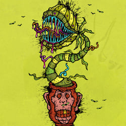 Funky Fly Traps Official