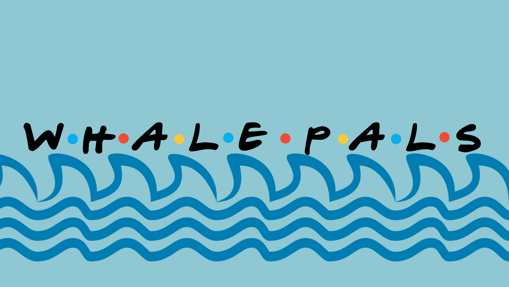 Whale Pals Genesis