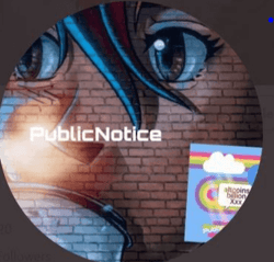Publicnotice.crypto