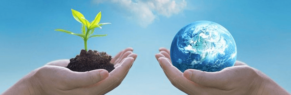 Save Planet Earth NFT
