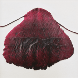 Leaves of Manifold, of Red and Gold by Helena Sarin