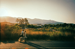 Summer Memories EDITION