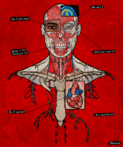 I'm only Human - Mediolanum
