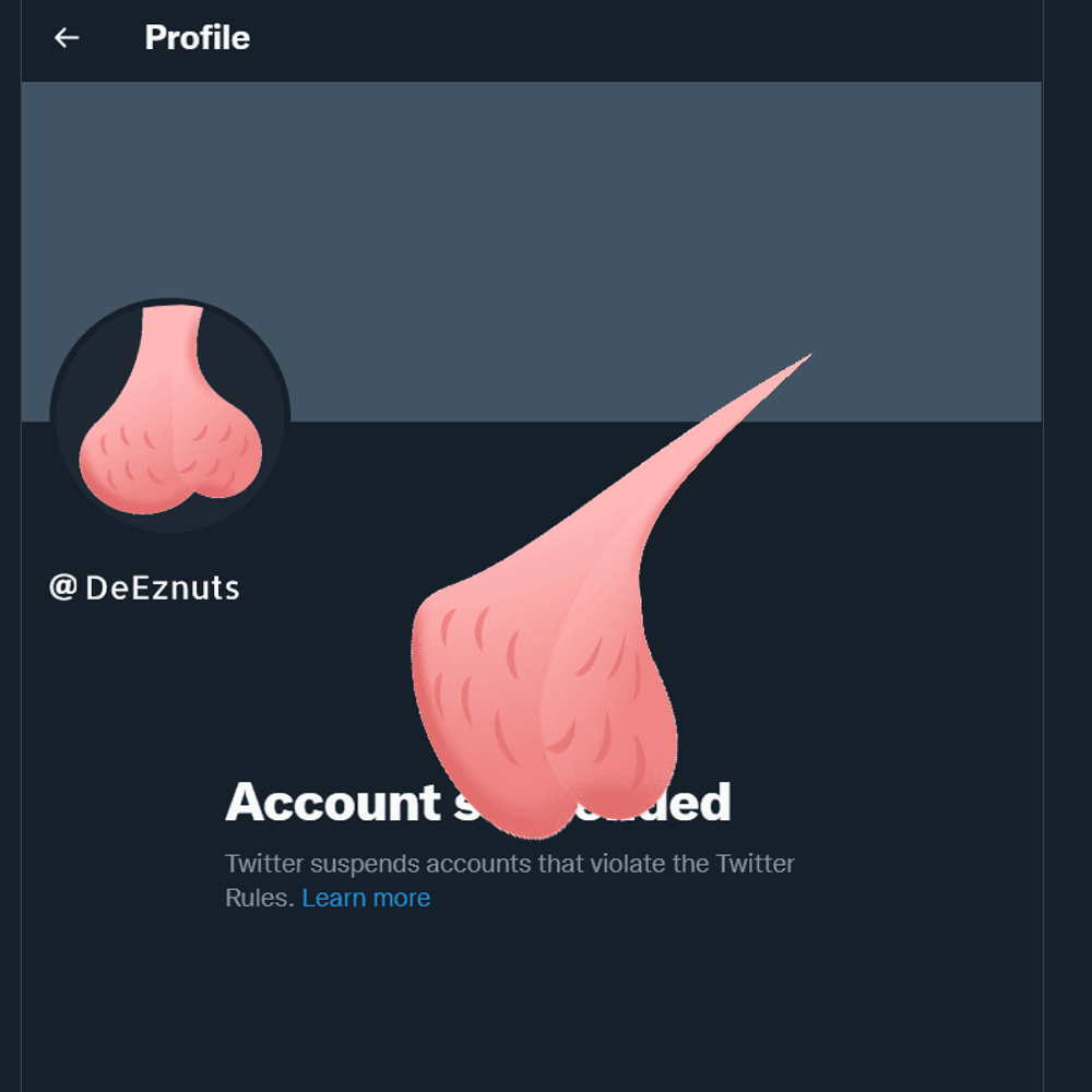 Suspend Deeznuts