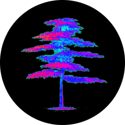 Absurd Arboretum - the Reserve