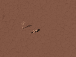 Harsh Landscapes