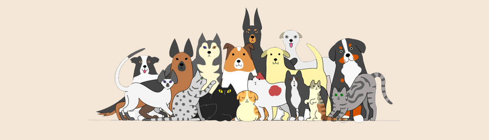 Doge&Cat