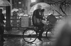 Kyotos Romance With Rain