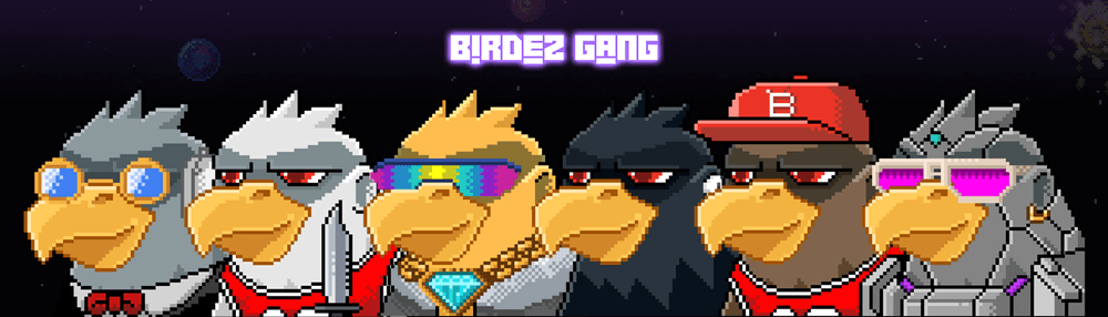Birdez Gang Genesis